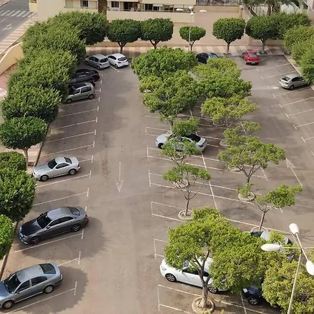 Atico Palmeral